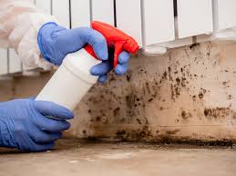 Best Mold Prevention Services  in Rock Springs, NM